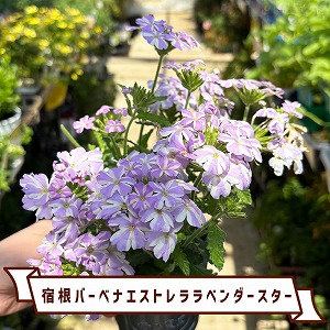 今週のおすすめ【2025年4月4週目】